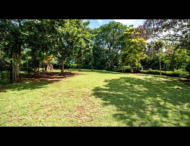 3 BEDROOM FREESTANDING SOLD IN DAWNCLIFFE